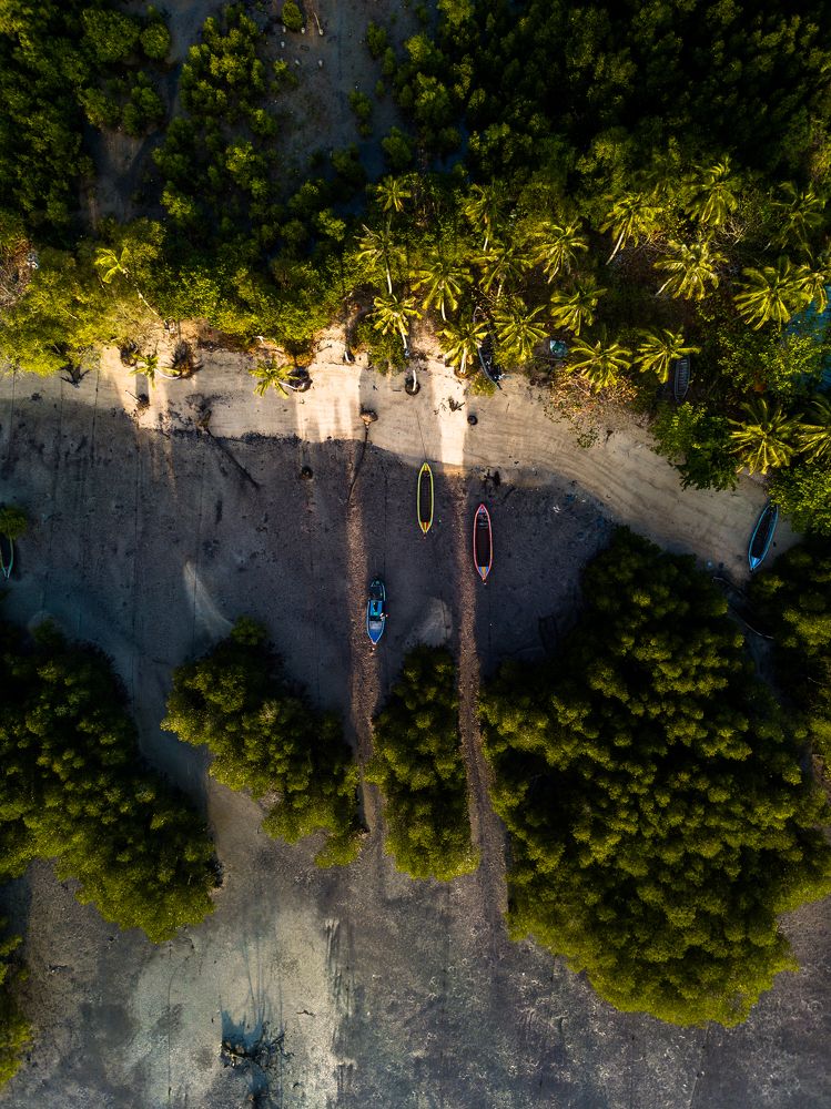 Photograph by Kovacs Apor