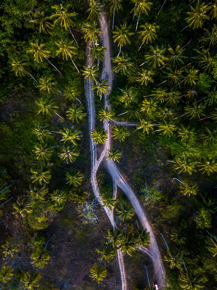 Photograph by Kovacs Apor