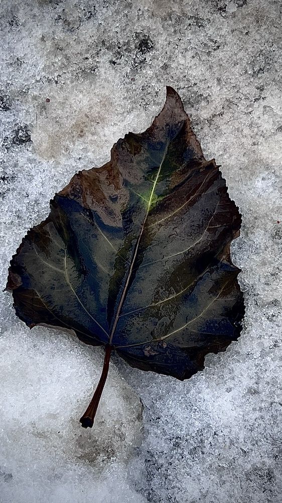 Photograph by Наталья Никитина