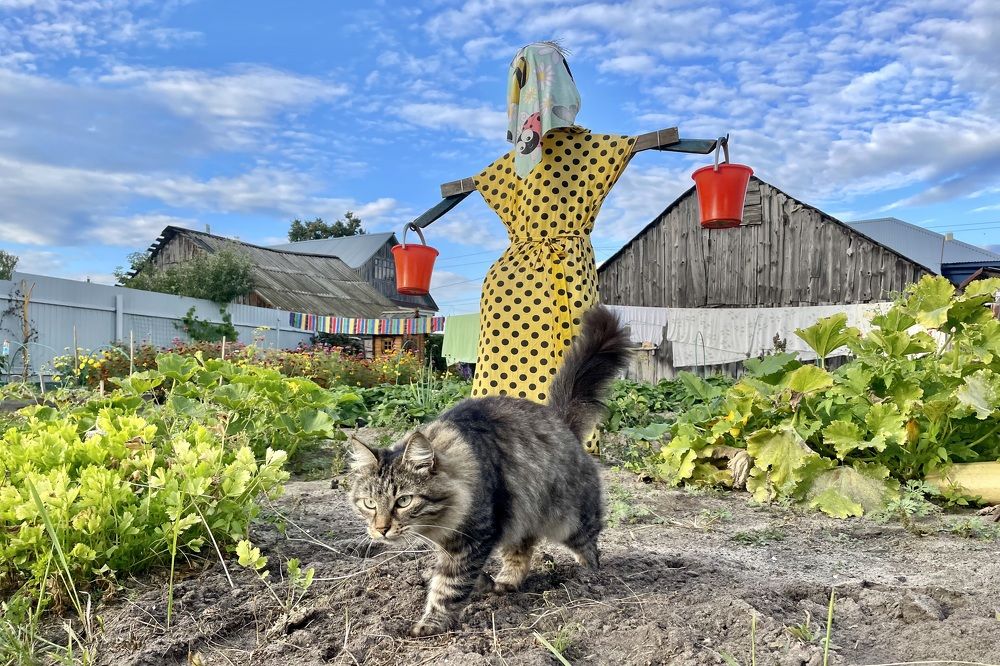 Photograph by Екатерина Шилкина