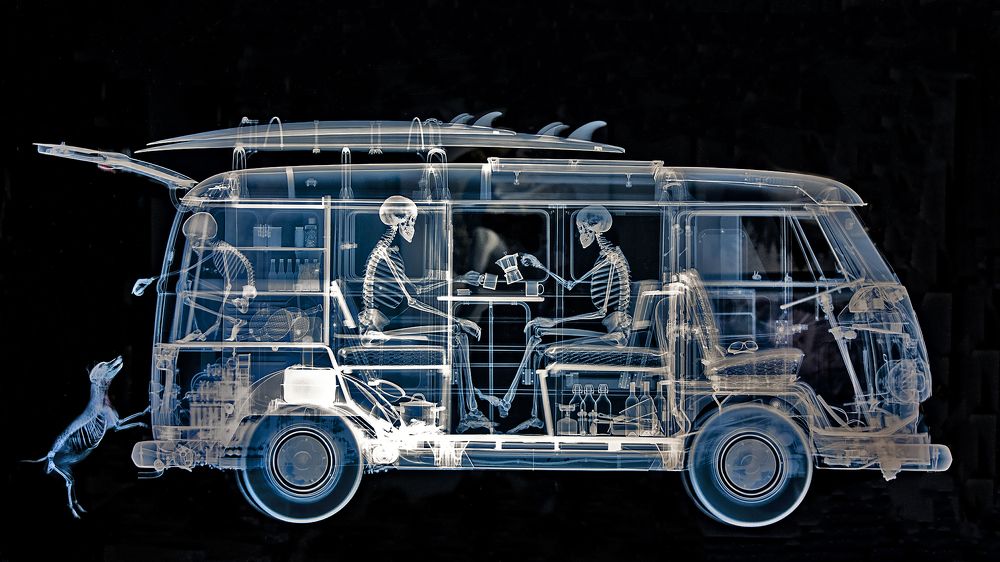 Photograph by Гришанов Пётр