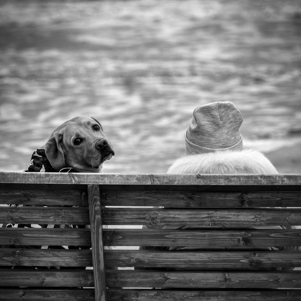 Photograph by Антон Дергунов