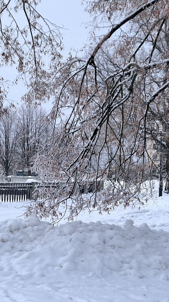 Photograph by Наталья Никитина