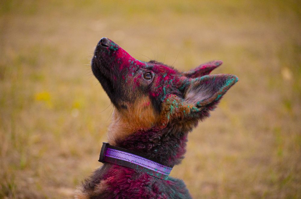 Photograph by Нина Скворцова