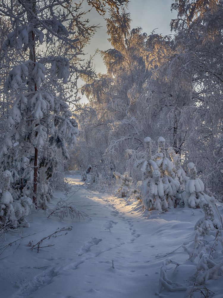 Photograph by Олег Тетерин