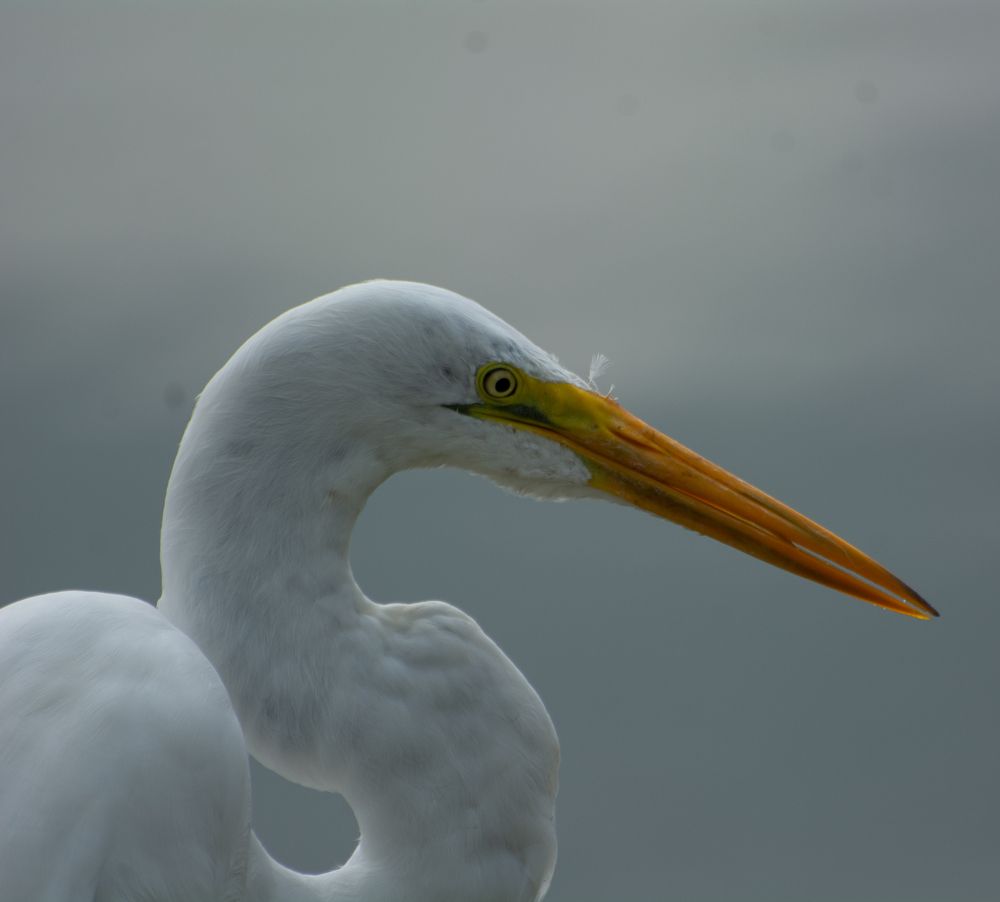 Photograph by Eliezer Santos