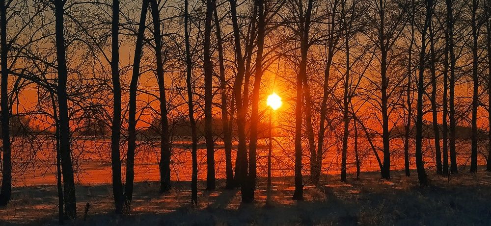 Photograph by Евгений Баранов