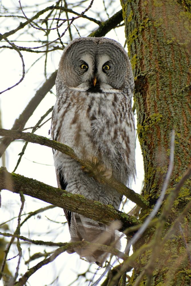 Photograph by Владислав Иопек