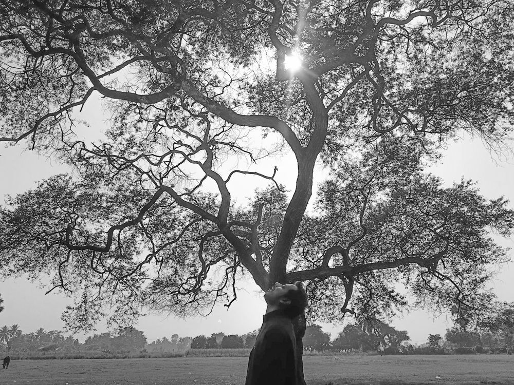 Photograph by Soumyadeep mondal