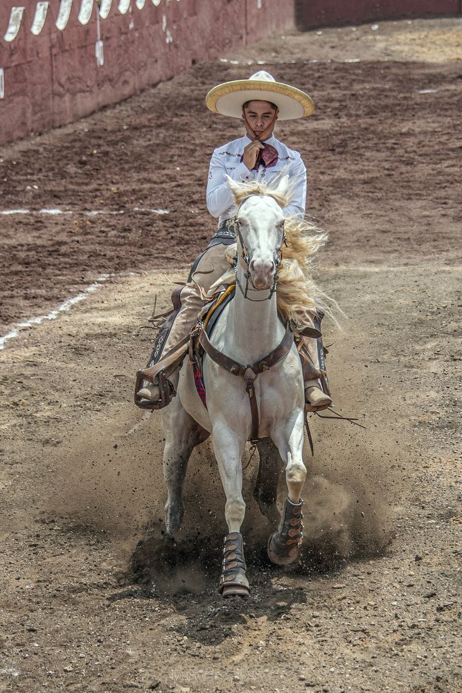 Photograph by Aлена Плясова