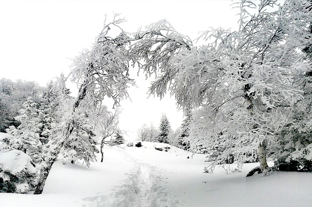 Photograph by Дмитрий Петренко