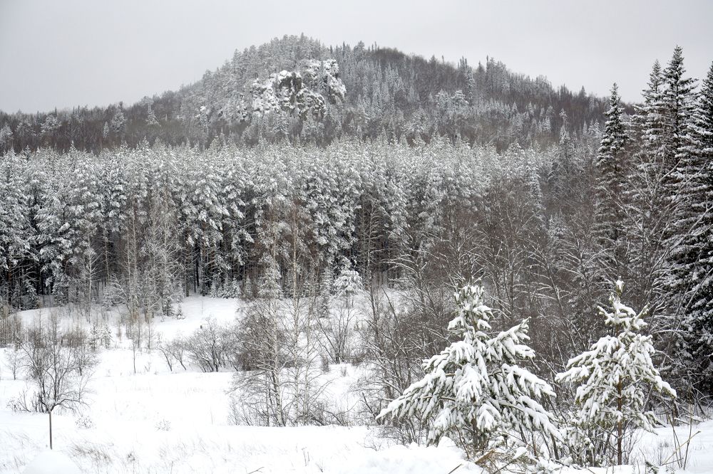 Photograph by Дмитрий Петренко