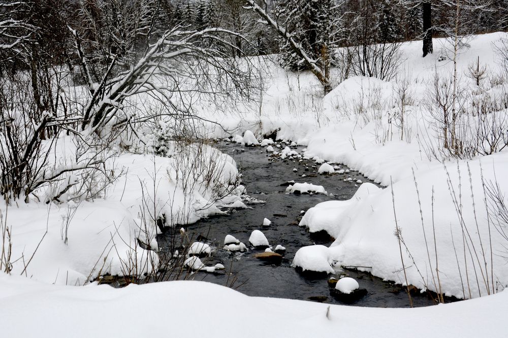 Photograph by Дмитрий Петренко