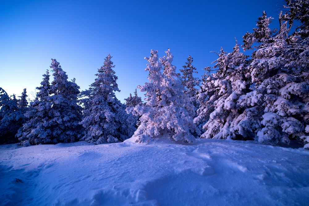 Photograph by Закаляпин Денис