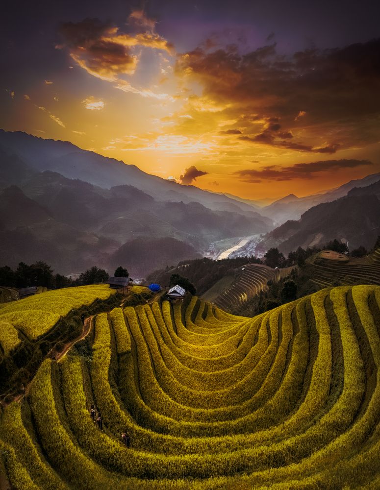 Photograph by Lê Huy Anh