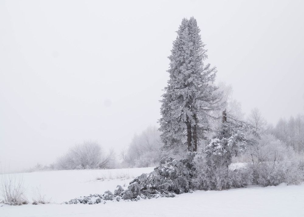 Photograph by Дубровин Николай