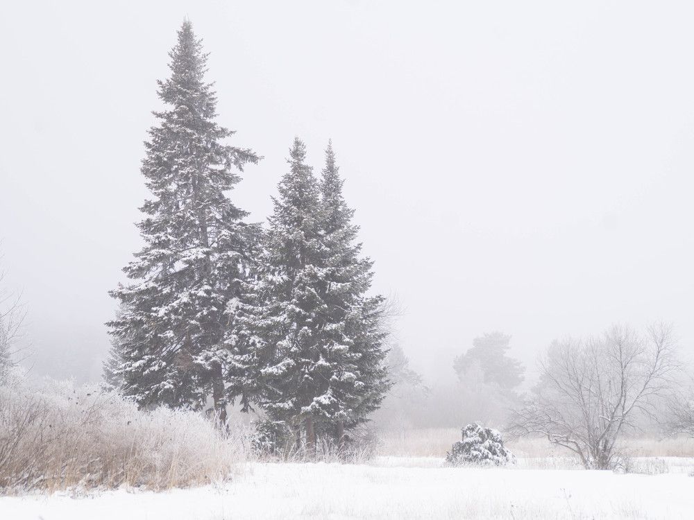 Photograph by Дубровин Николай