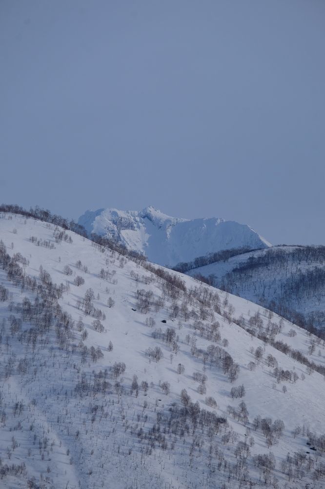 Photograph by Яна Бойко