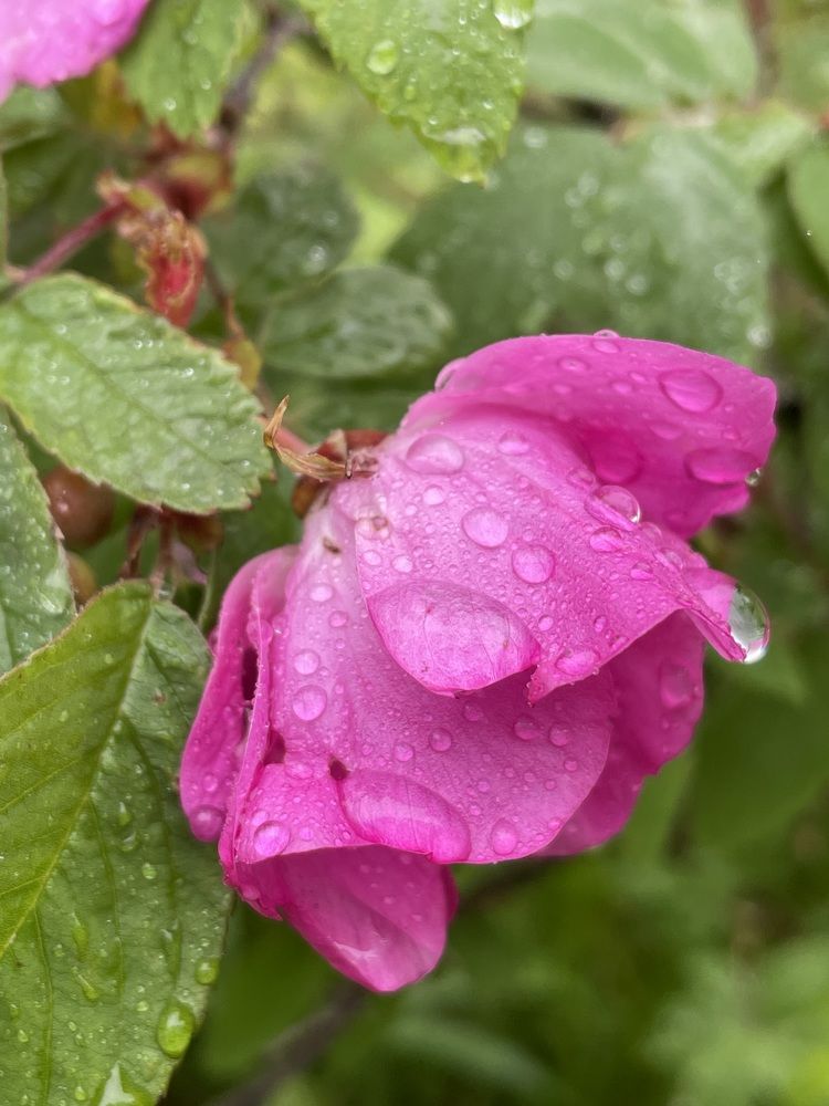 Photograph by Яна Бойко