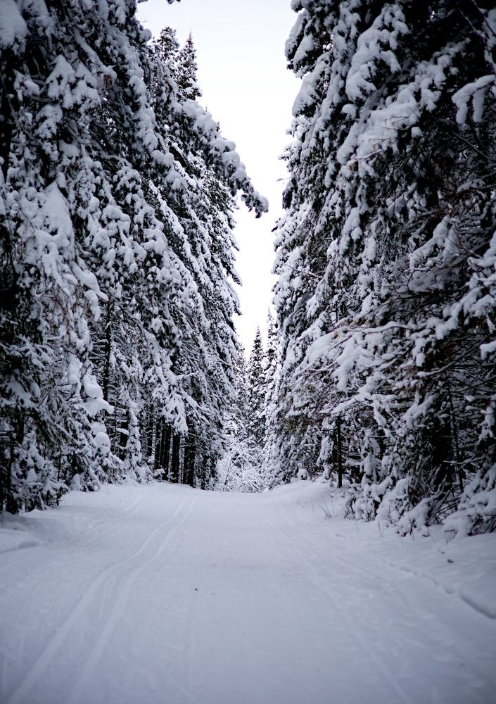 Photograph by Татьяна Пуртова