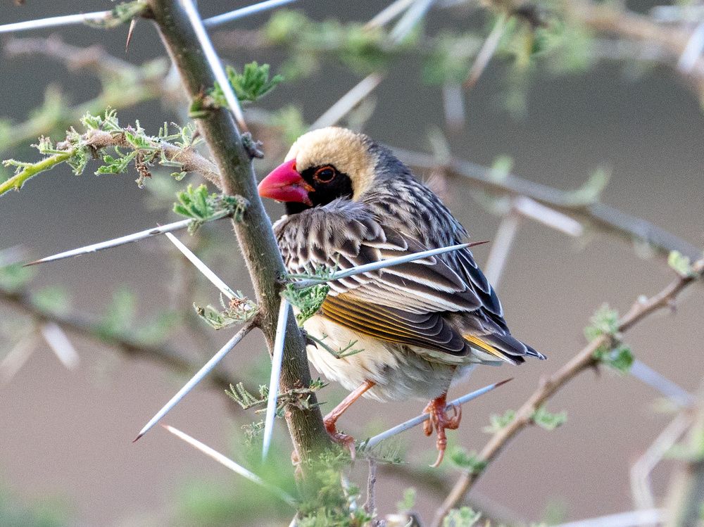 Photograph by Сергей Кошкин