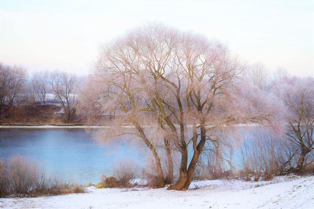 Photograph by Олег Лебедев