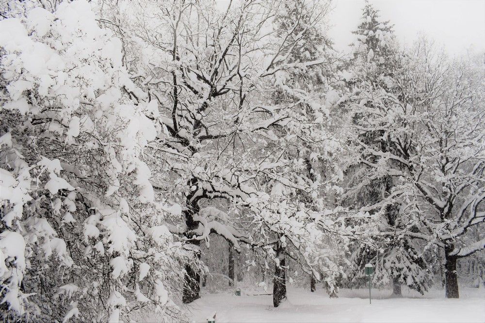 Photograph by Олег Лебедев