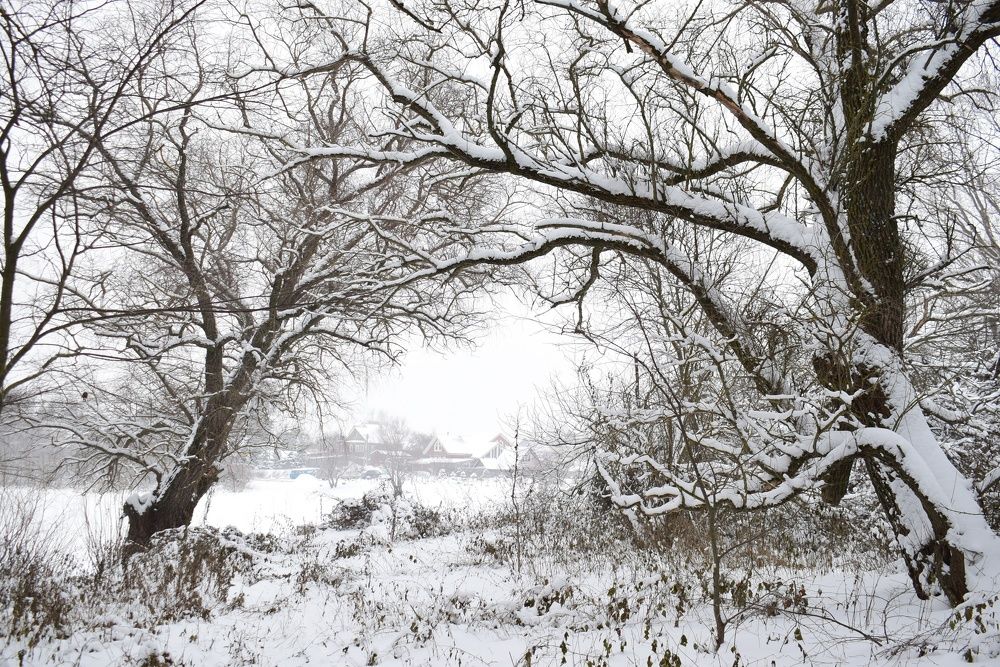 Photograph by Олег Лебедев