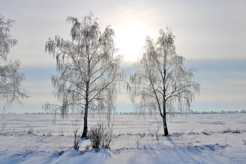 Photograph by Анна Восковых
