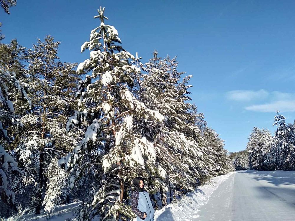 Photograph by Наталья Душакова