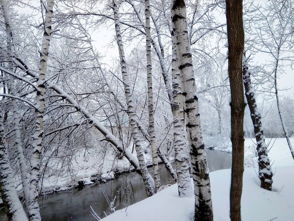 Photograph by Елена Казарина