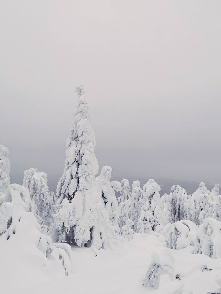 Photograph by Aleksandr Kolonsky