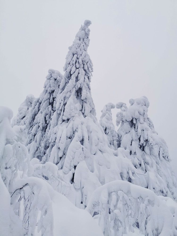 Photograph by Aleksandr Kolonsky