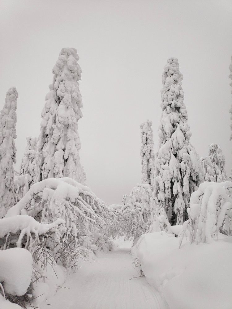 Photograph by Aleksandr Kolonsky