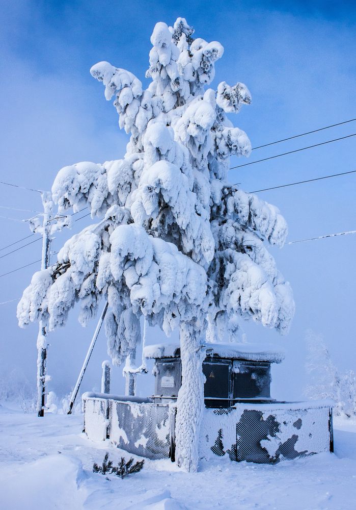 Photograph by Марина Киприна