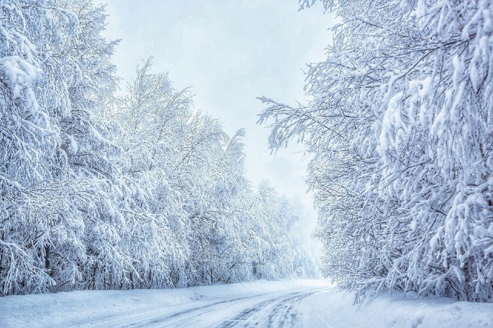 Photograph by Марина Киприна