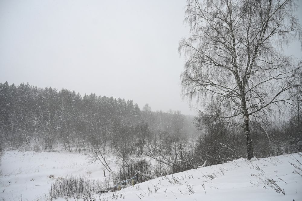 Photograph by Андрей Трякин