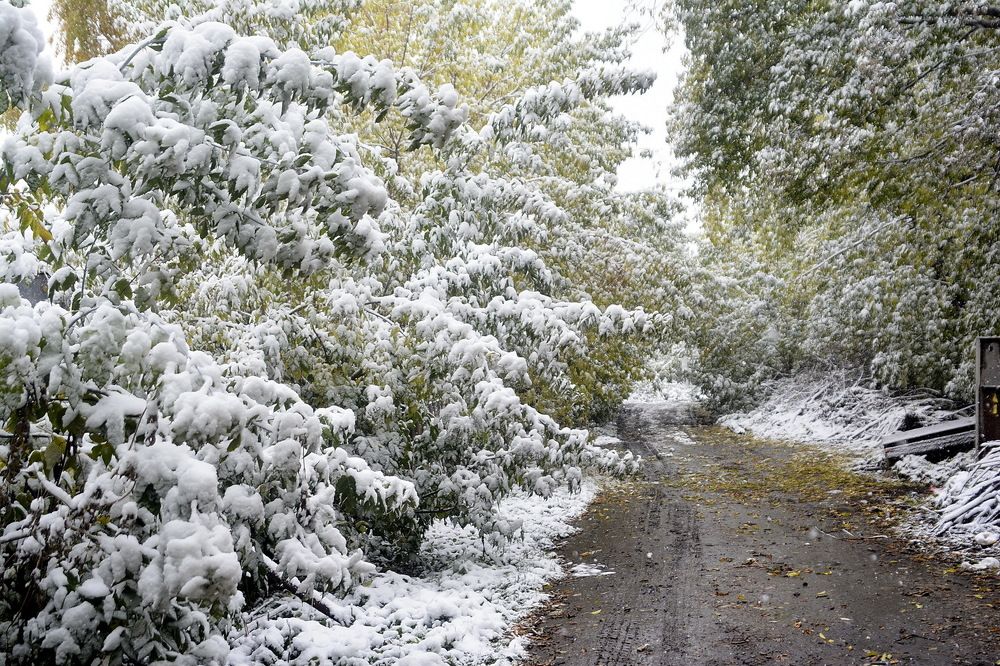 Photograph by Юрий Назыров