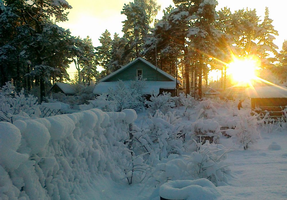 Photograph by Александр Семенов