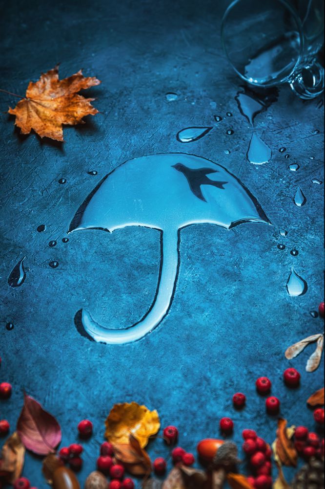 Photograph by Ольга Ильина