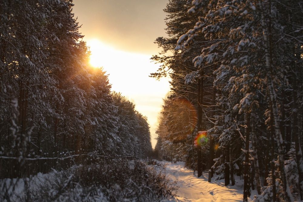 Photograph by Екатерина Колот