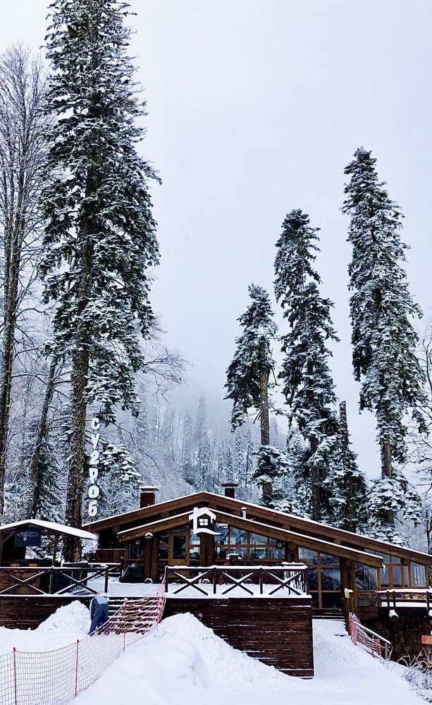 Фотография автора Елена Громова