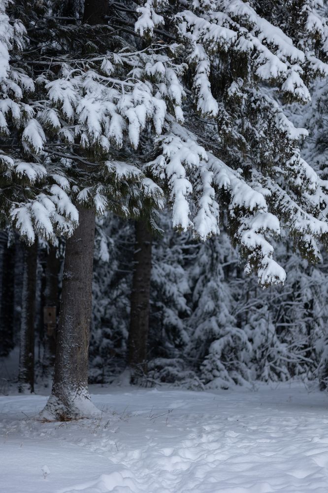 Photograph by Бальзирова Наталья