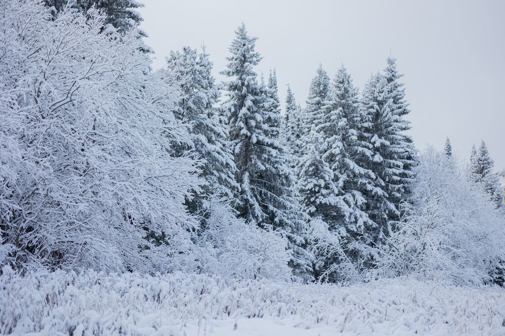 Photograph by Бальзирова Наталья