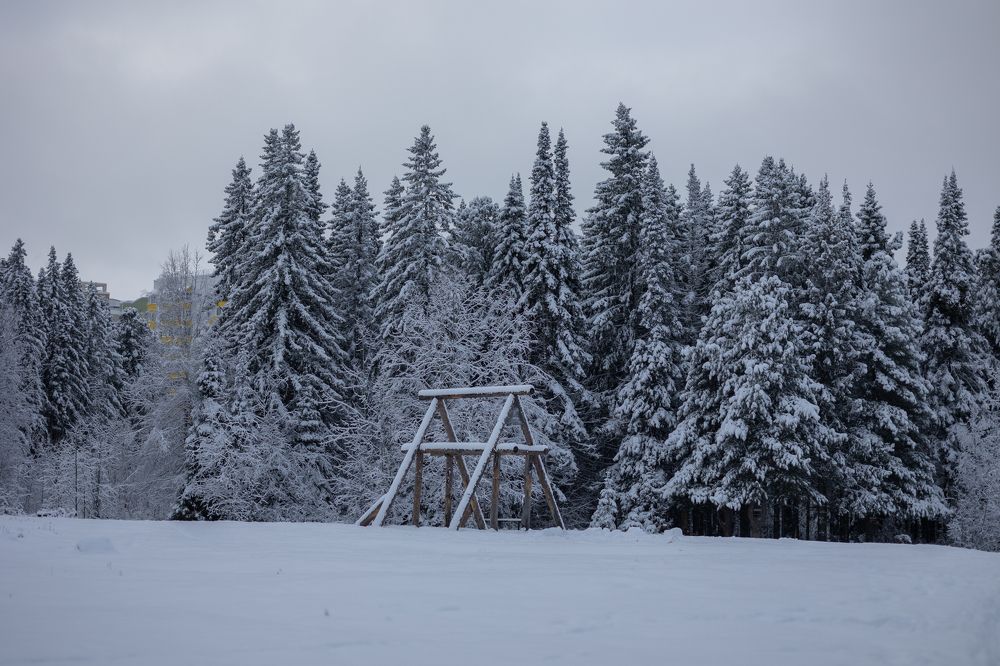 Photograph by Бальзирова Наталья