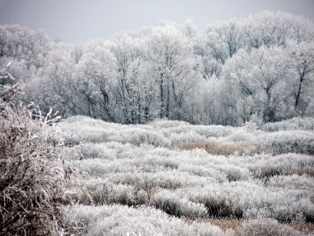Фотография автора Роман Савоцкий