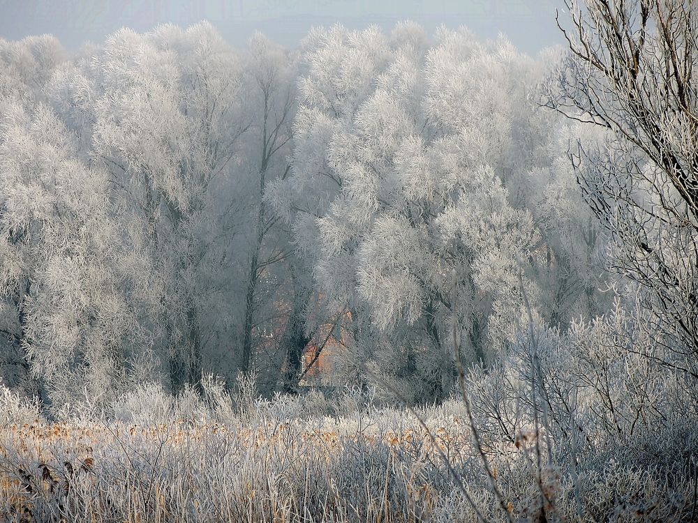Фотография автора Роман Савоцкий