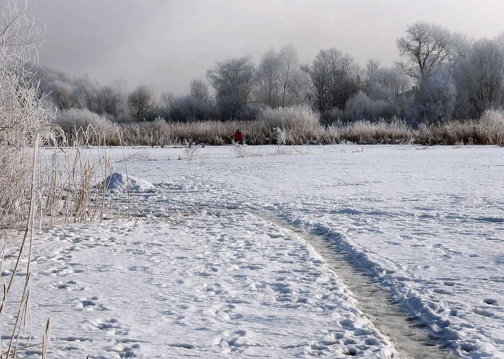 Фотография автора Роман Савоцкий