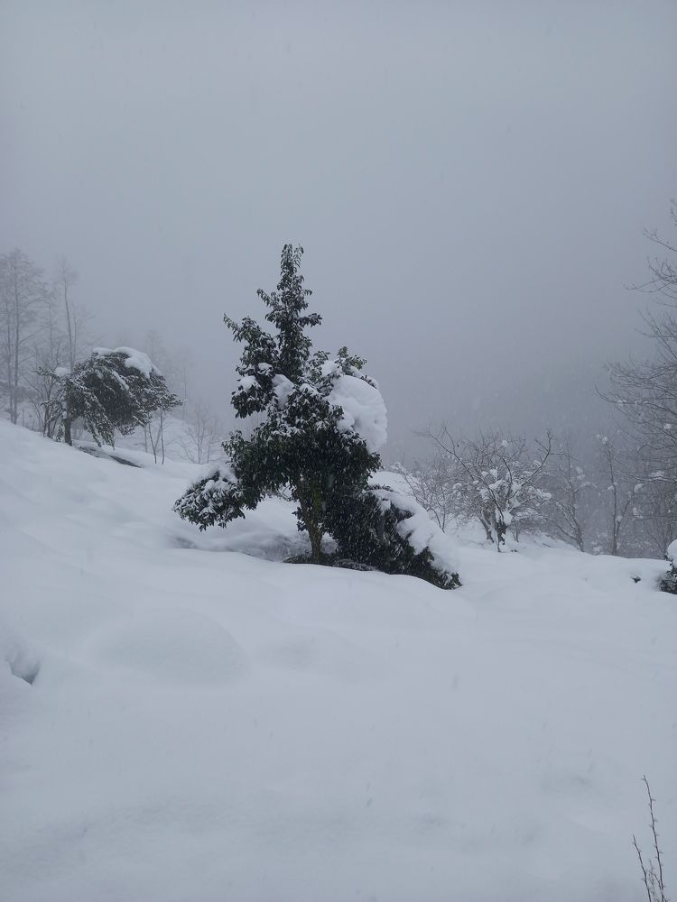 Photograph by Hadi Hadipour