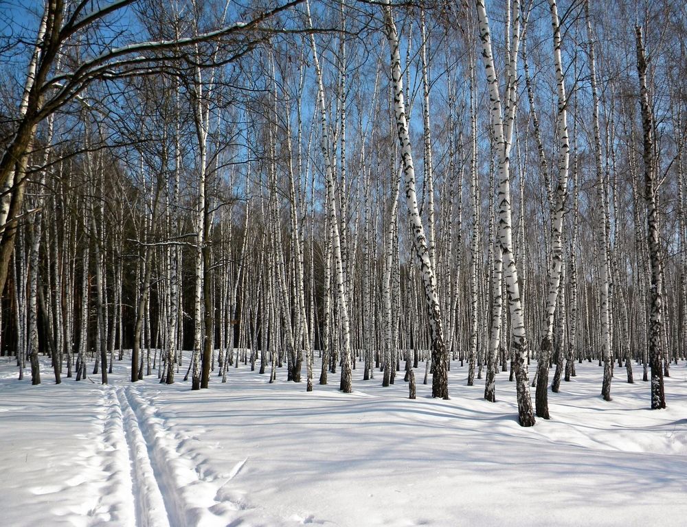 Photograph by Савоцкий Роман